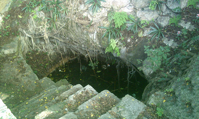 cenote_del_parque_de_cholul_yucatan-688po